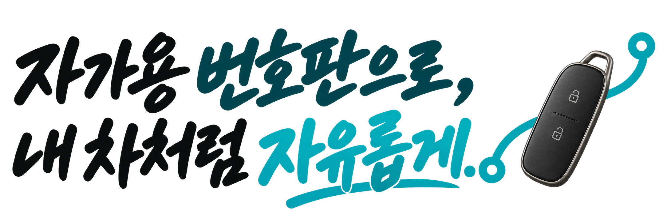 자가용 번호판으로, 내 차처럼 자유롭게.